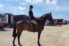 Emma Dewhurst Horse:Pony Parkgate Royal Visit William