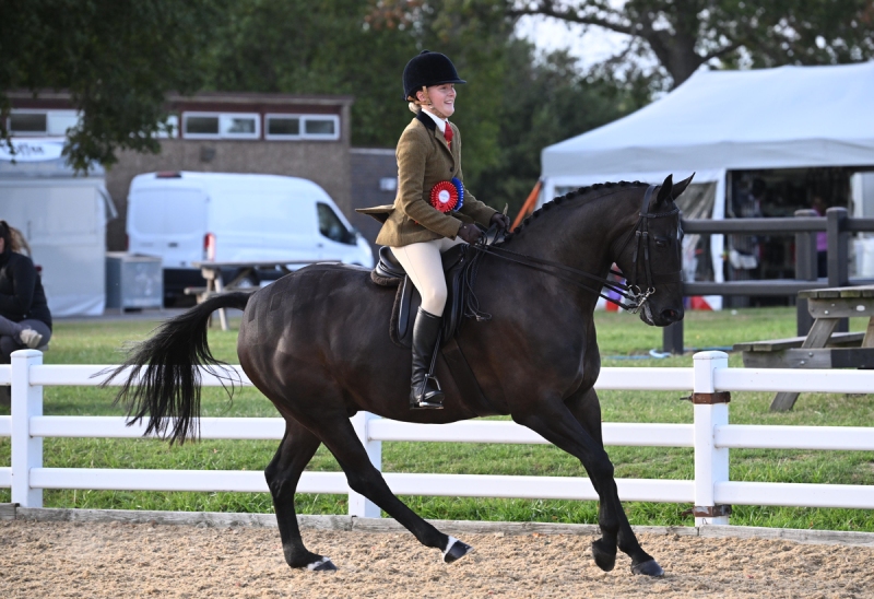 Jessica-Weir-Horse_Pony-Lindeth-Con-Artist