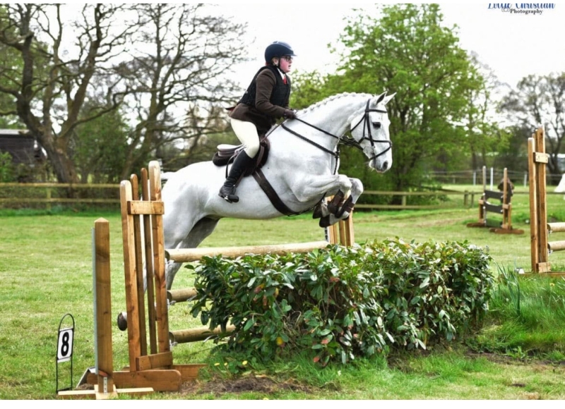 Darcy-Sproat-Horse_Pony-Dinarthall-Bomber