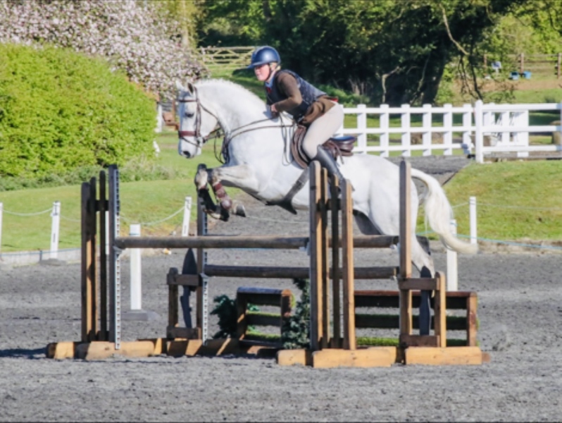 Hariette-Lowther-Horse_Pony-Millstones-warboy