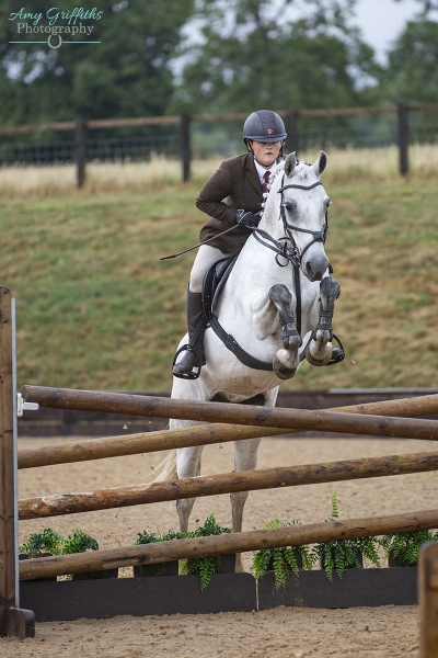 Morgan-beer-Horse_Pony-Deerpark-millie