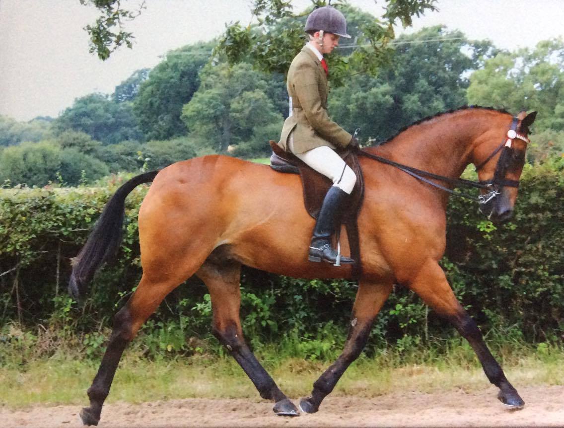 Glen Allen and Helsington Tailor Made