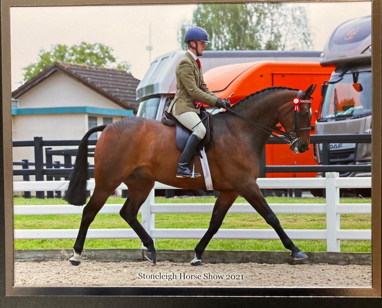 Glen-Allen-and-Greylands-Ace-High