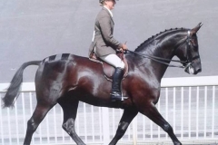 Wallenstein & Jackie Williamson