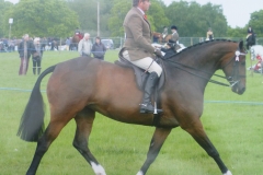 John Bland‎ & Covent Garden