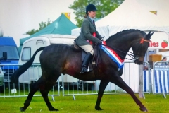 Aquilas Stud Nigia and Georgia Ahmet