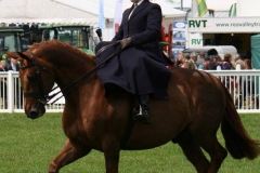 Lucy Eleanor Penrose riding Palindromic