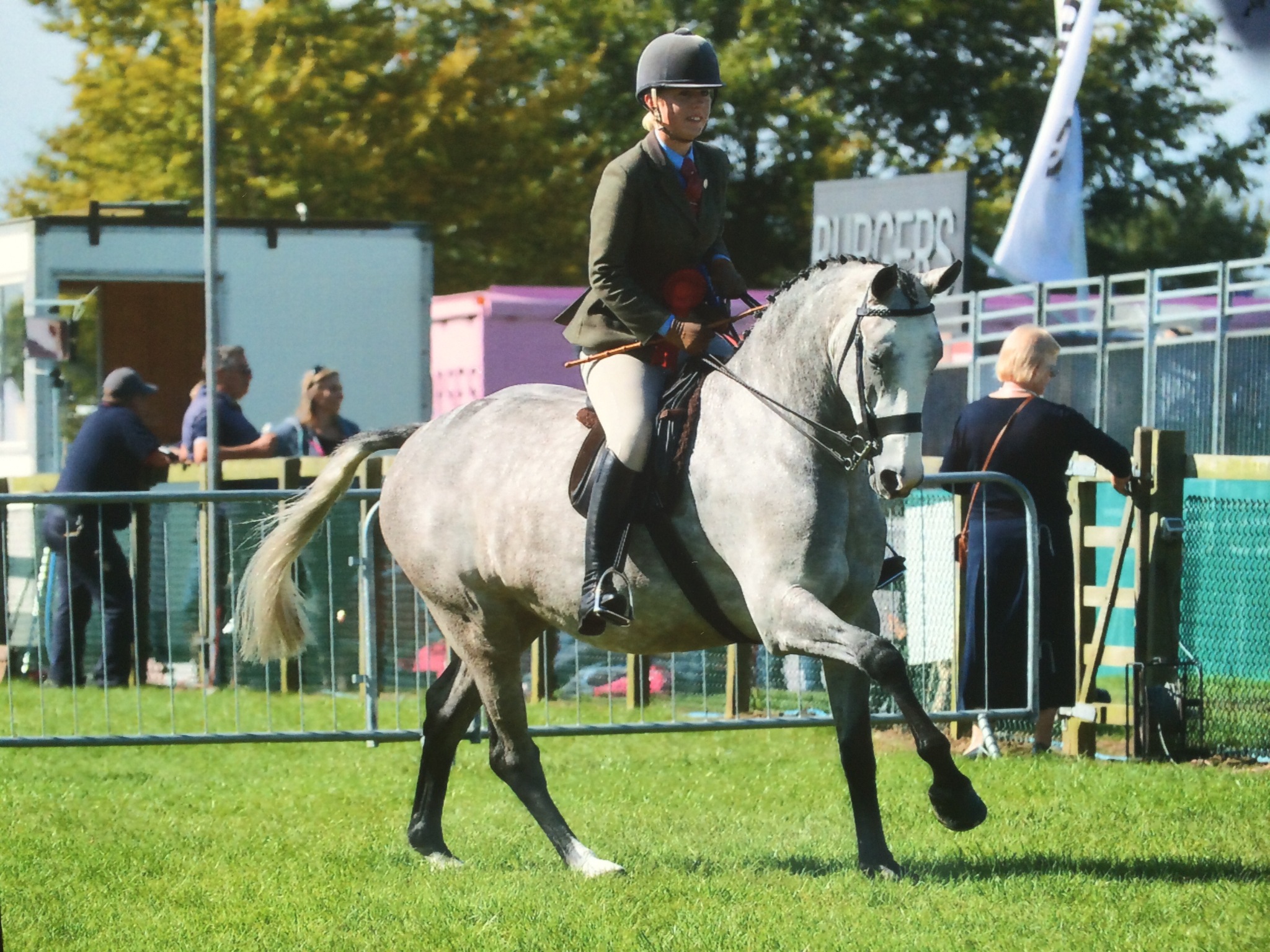 Coolamber Babe & Verity Murray