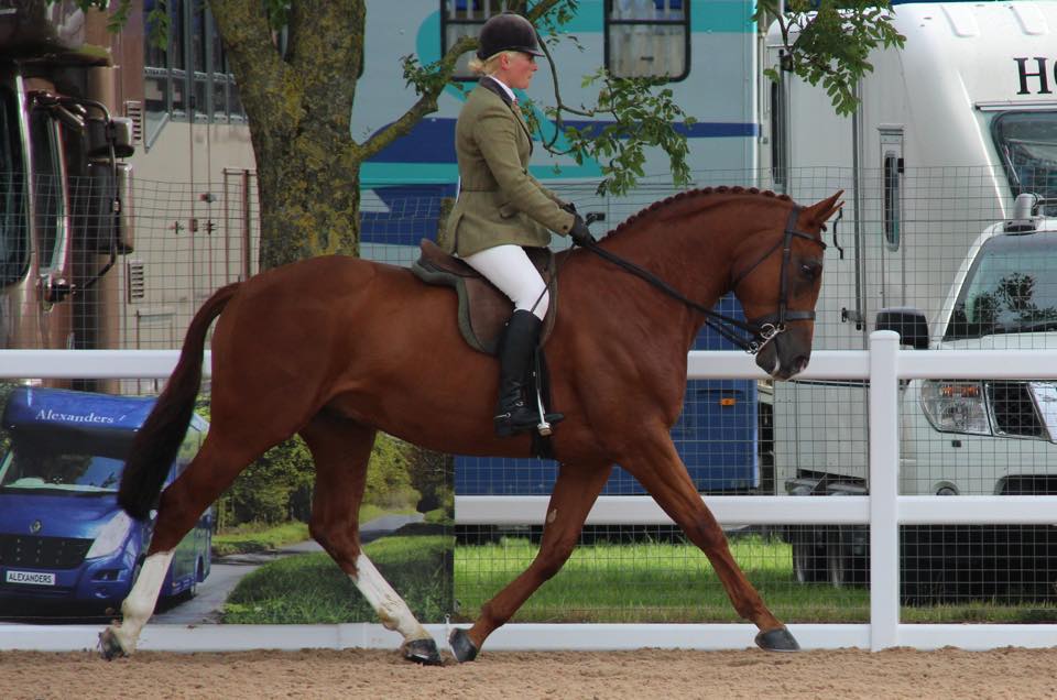 Darkwaters Dejavu & Zara Owen