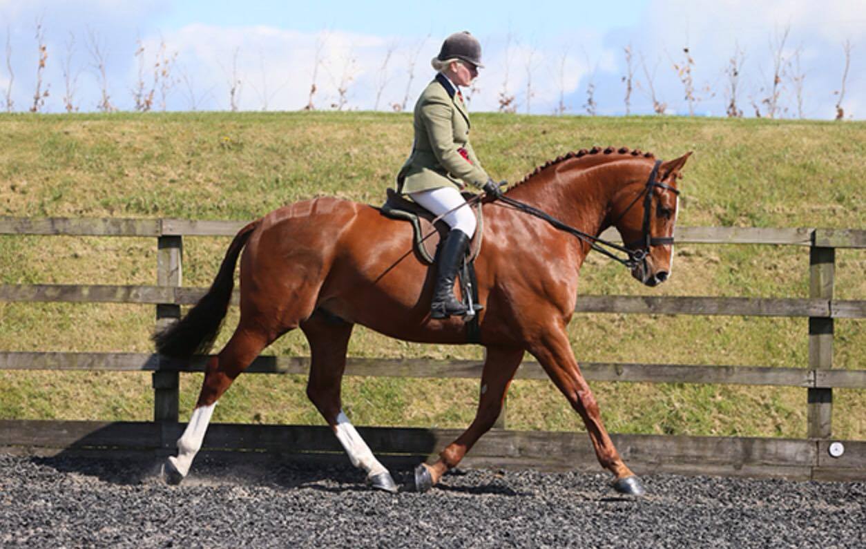 Darkwaters Dejavu and Zara Owen