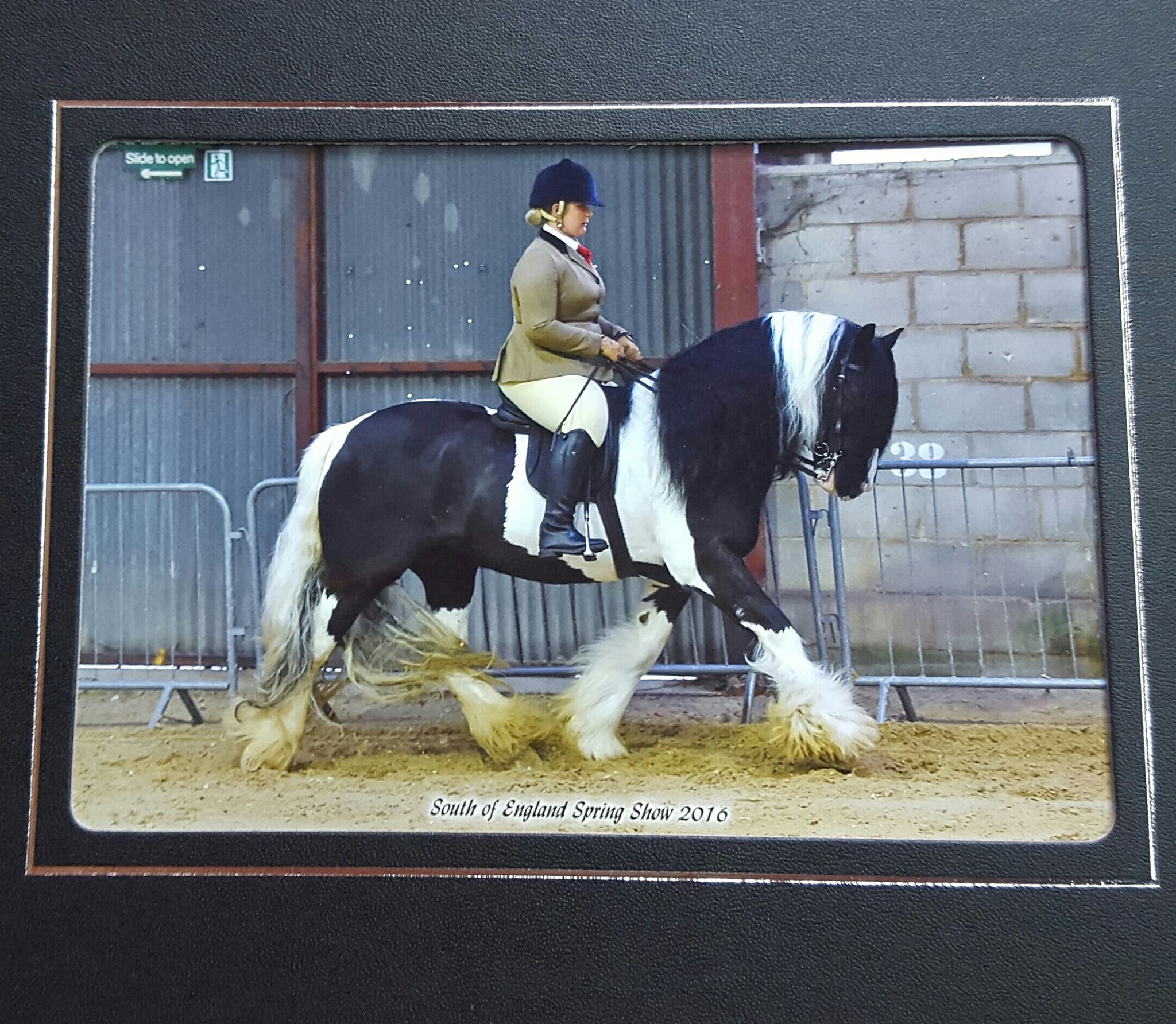 Playstation Rider louise durdin