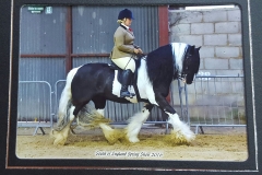 Playstation Rider louise durdin