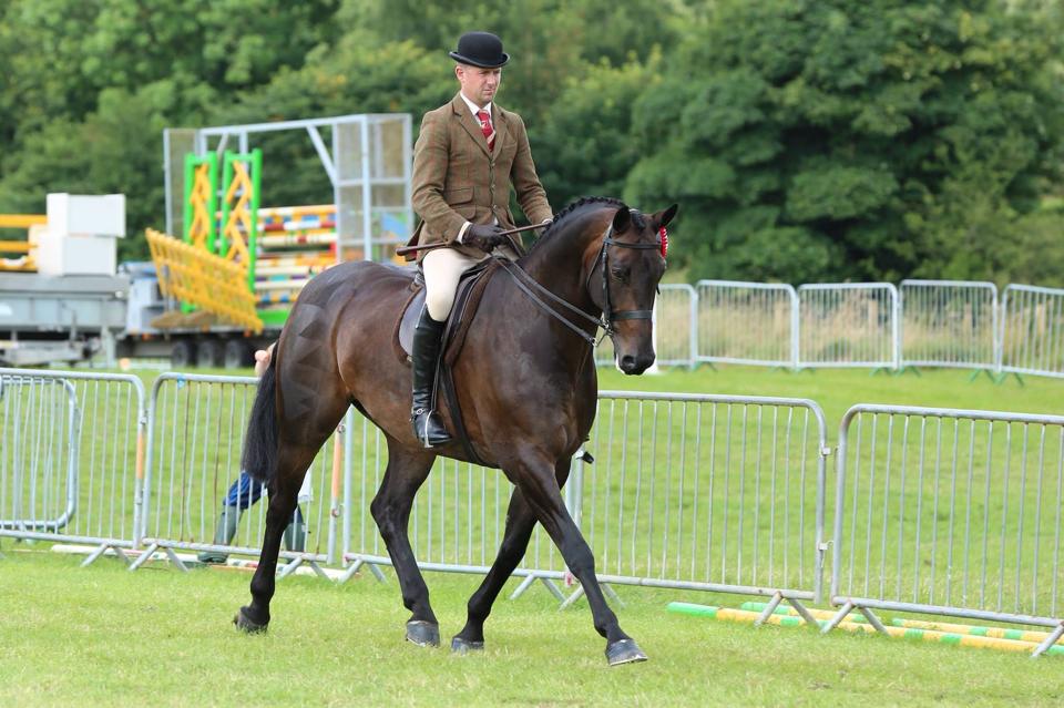 Raconteur & Peter Hodgkinson