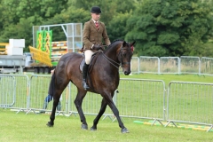 Raconteur & Peter Hodgkinson