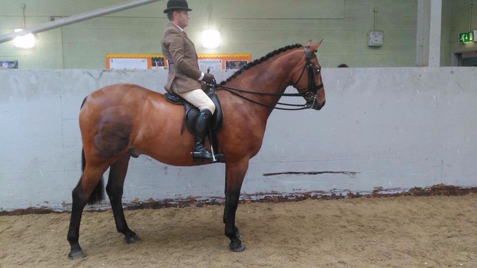 Carnsdale Capability Brown Rider John Bland