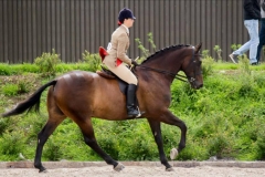 Claudia Felstead & Subaltern Will