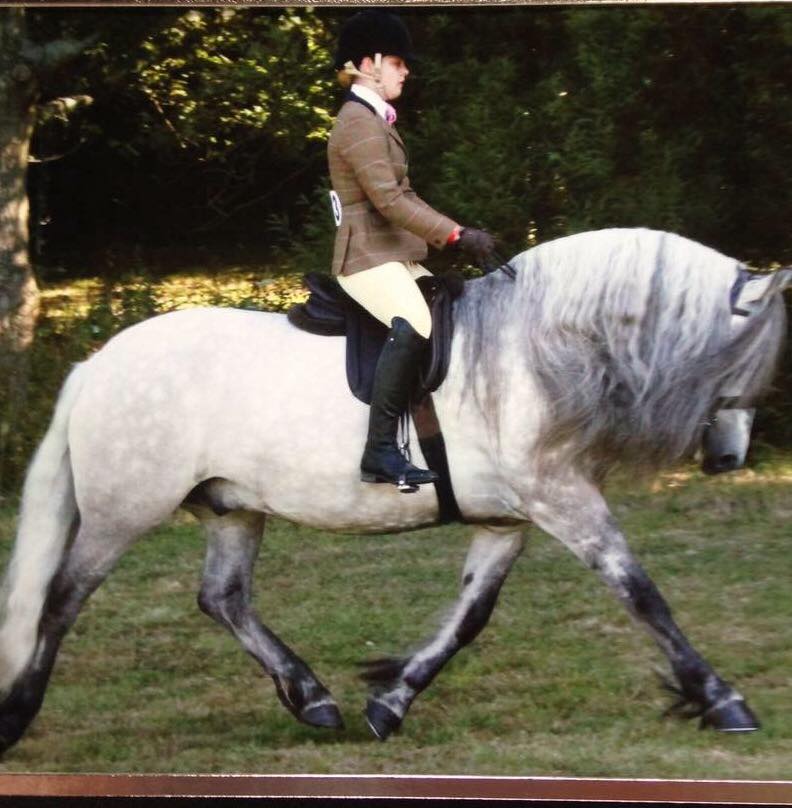 Ellie Bowen and Glenwestcastle Master Basil
