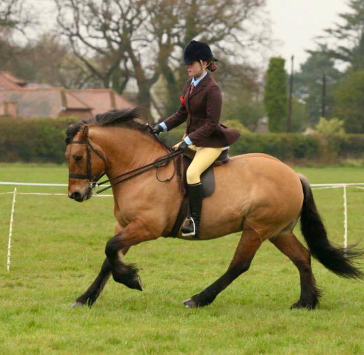 Hallie Booty, Maccallumdene