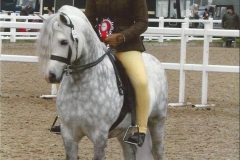 Abby Louise Marshall and Wintersend Nimbus