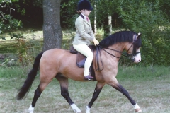Mynach Orsino and Tabitha Oliver