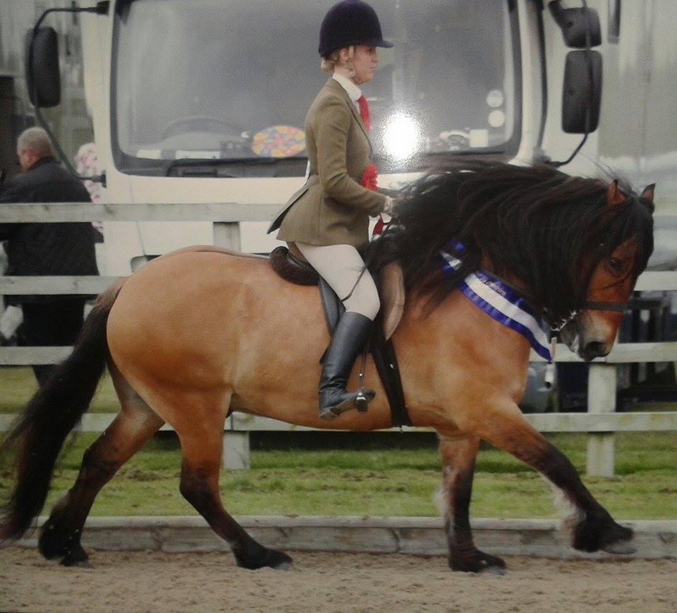 Jester of Ryedale and  Lucinda Craven