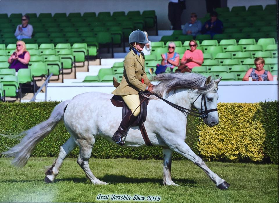 Kirstin McMurray & Trailtrow Texa Beag