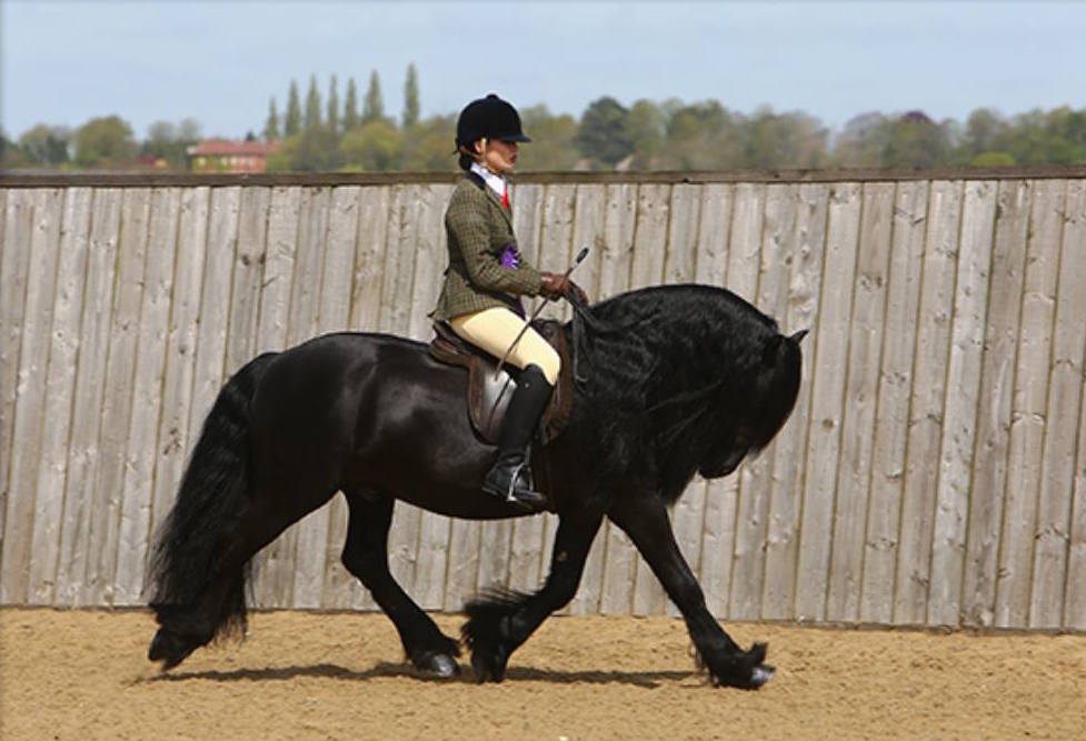 Victoria Wharton and Greenholme Hairy Harry