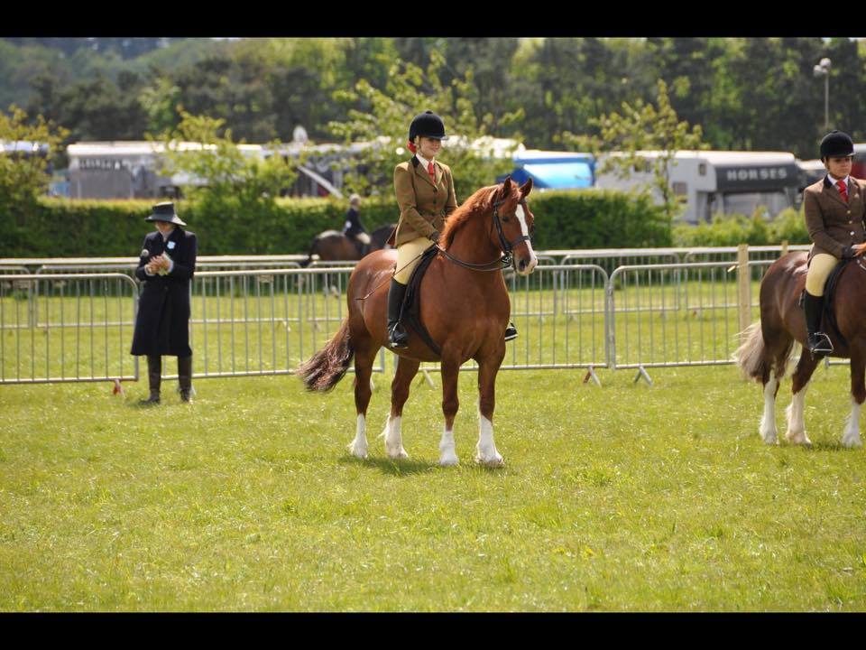 Anna Stacey and Mowcastle Mickey