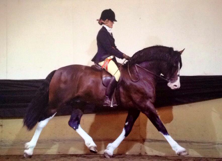 Larnleighs Dictator and Sophie Howard