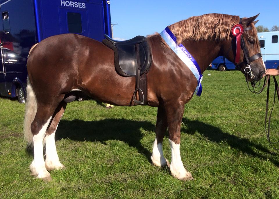 Larnleighs Express and Tracey Milward
