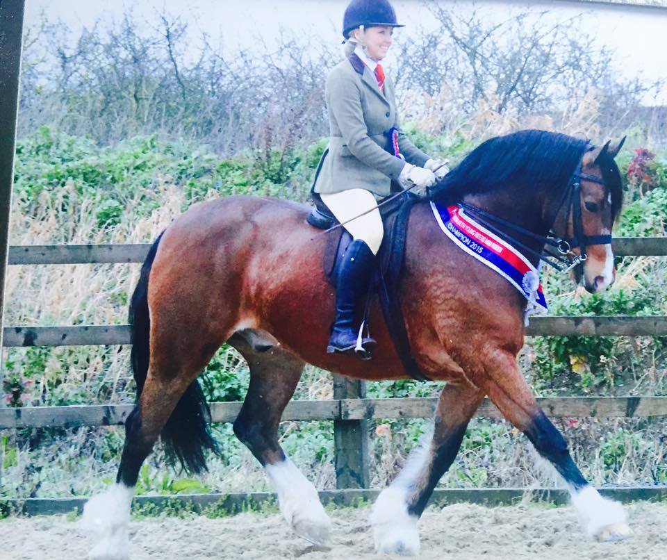 Lynbrie Welsh Lord and Amber Thorpe