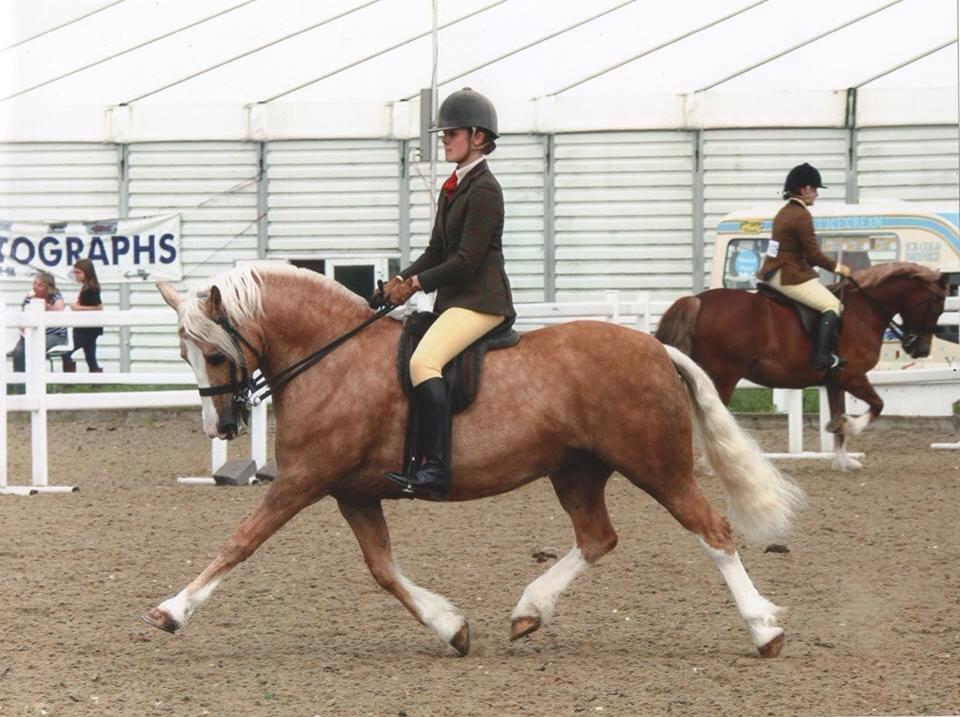 Rivervalley Lou Lou and Hannah Atkinson