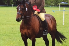 Sofia Vaughan & Pentrefelin Gee Whiz