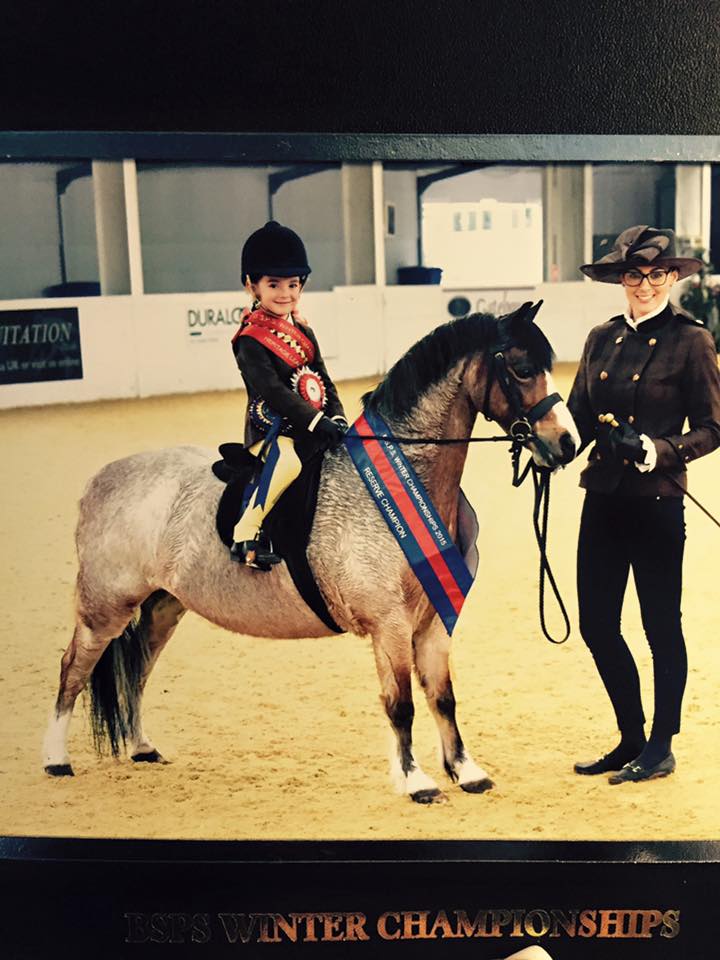 Springbourne Elroy & Milly Gilbert