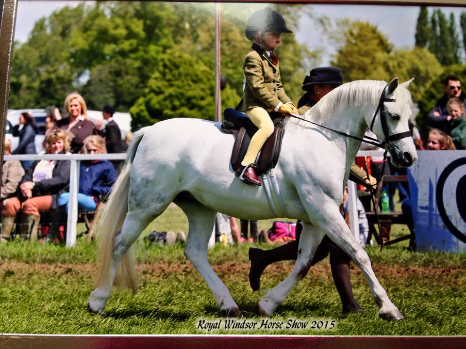 Thistledown Candice and Samuel Laity
