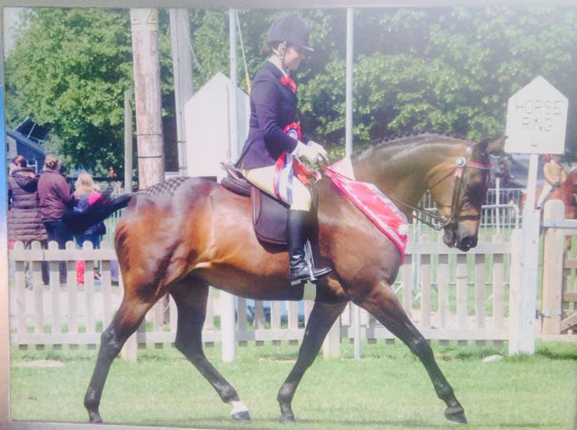 Kayleigh Catton and Llanarth Fair Play