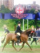 Roseberry Super Trouper and Greer taverner