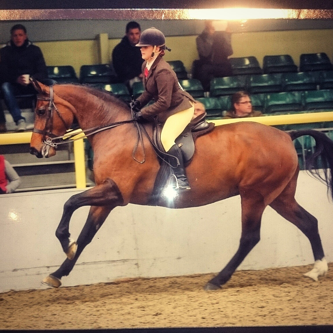 Beth-Anne Rowley and willemientje riding