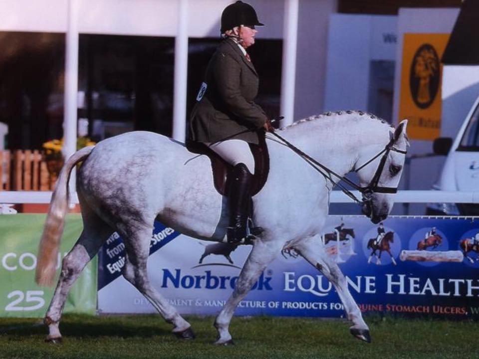 Cwmdovey Fintan Foxy Lady & Carol Luxton