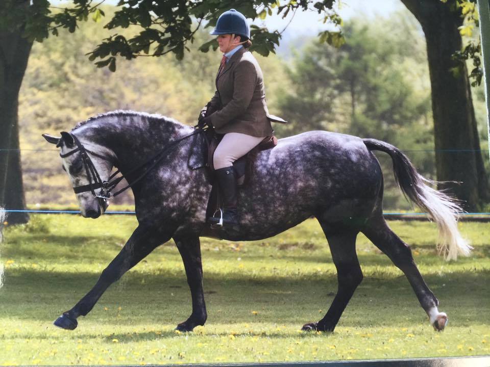 Kerrilee Wilson Smith and Ferrari Star
