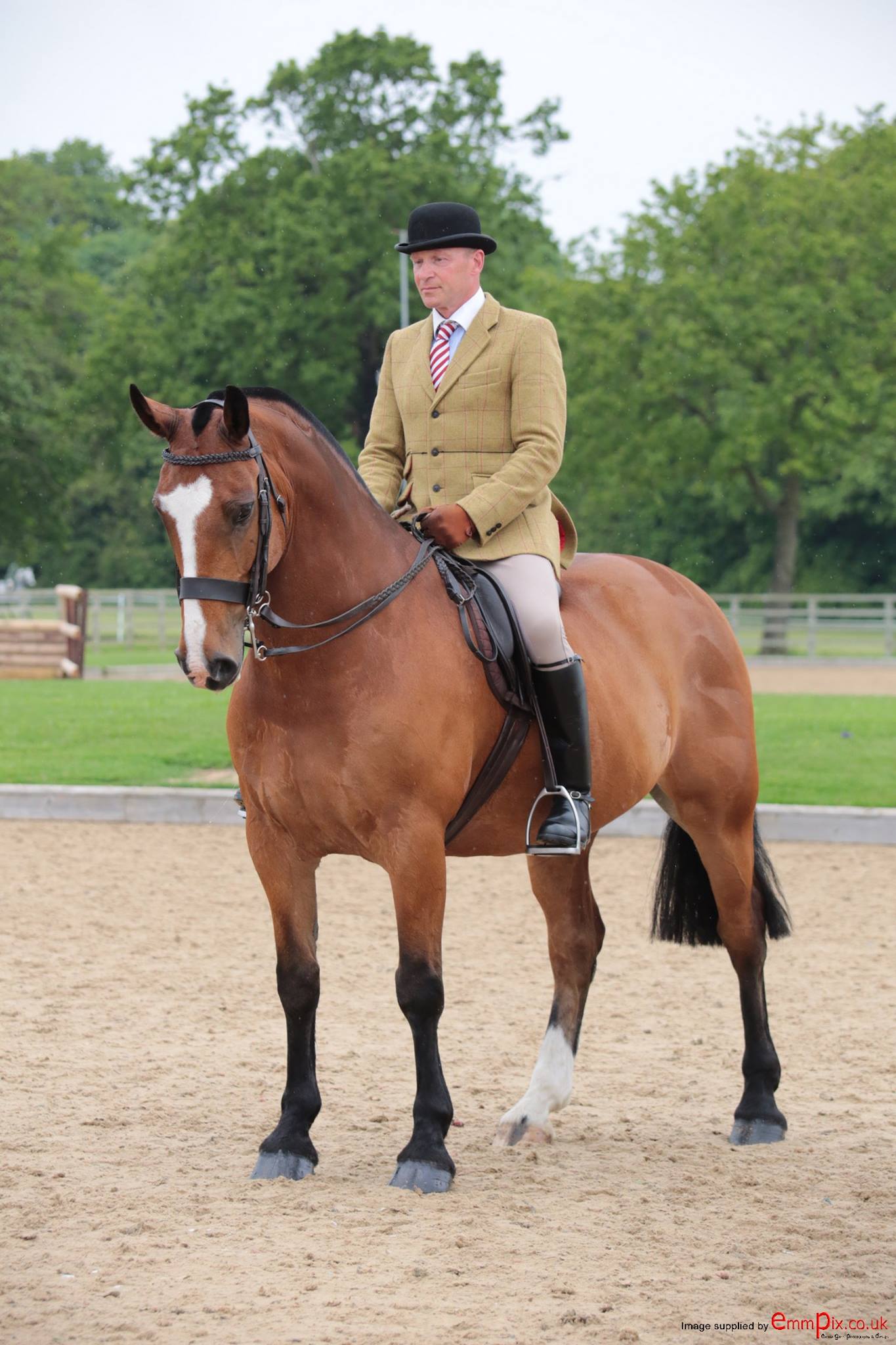 Pole Star & Antony Pollitt