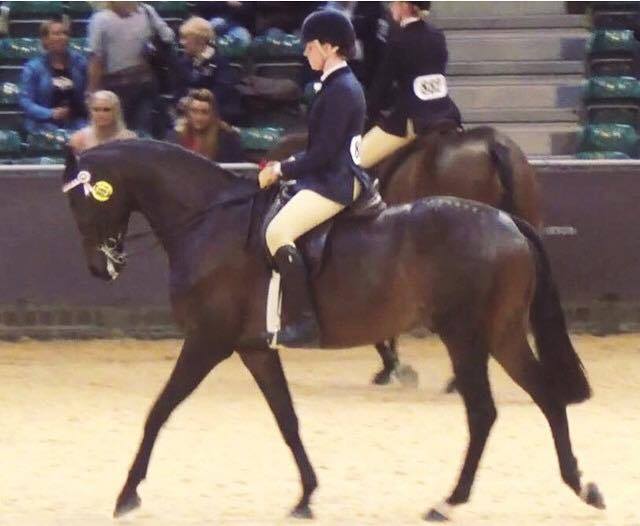 Isabella Mears and Marque of Distinction