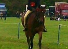 Cranbornes summer song and mia brown