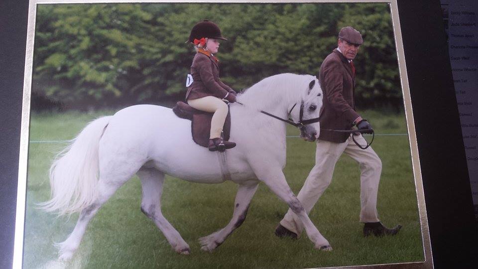 Abergavenny Andrea and Summer Ward - Brown