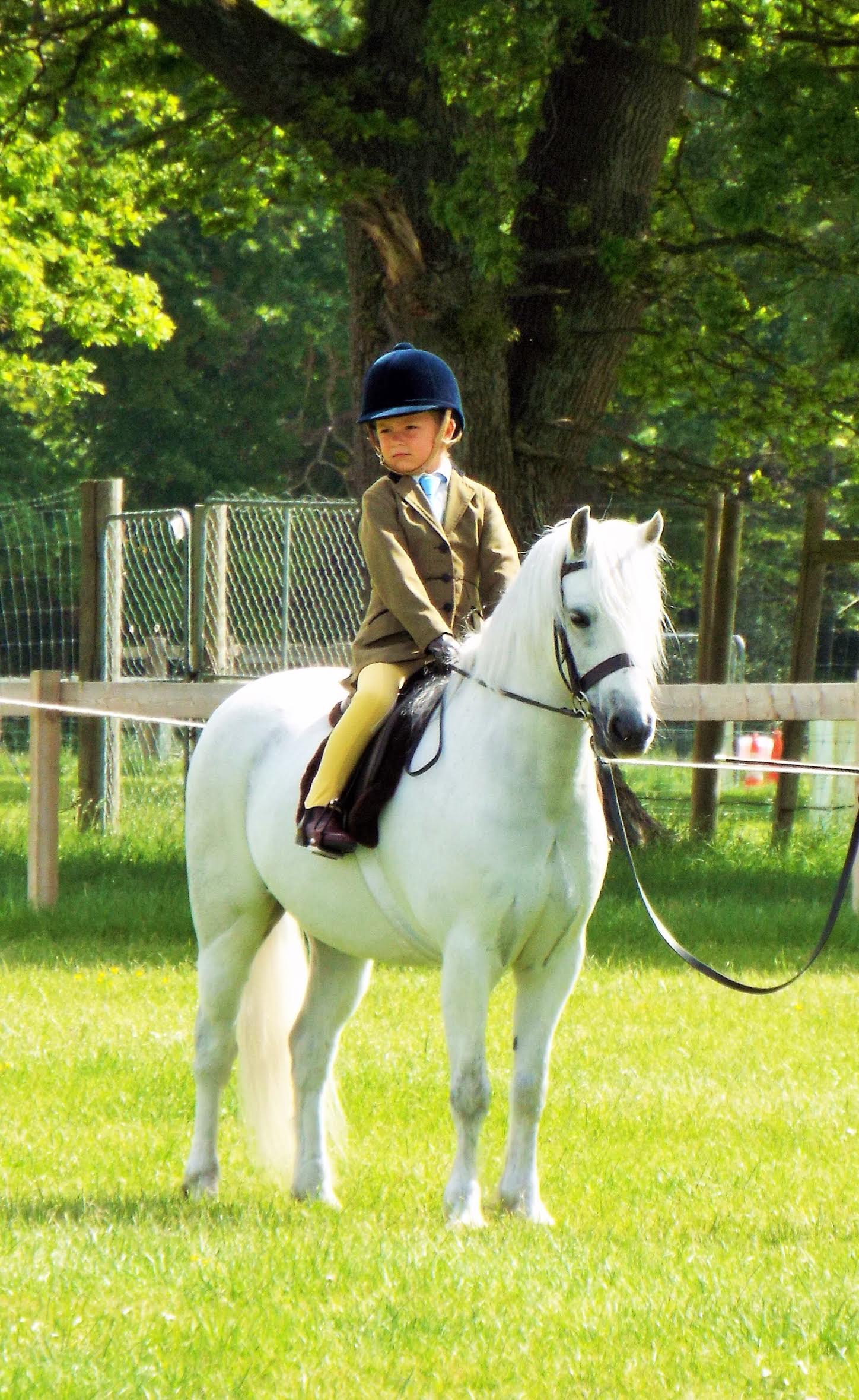 Alfie Diaper and Moortown Graphite