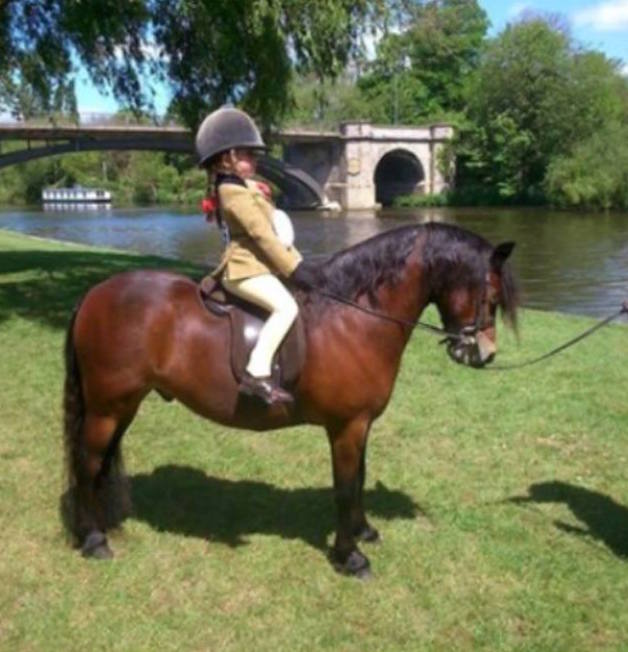 Coppinshill Chaos & Maisie Chester