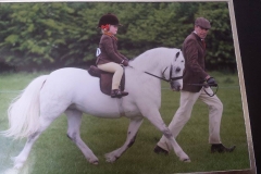 Abergavenny Andrea and Summer Ward - Brown