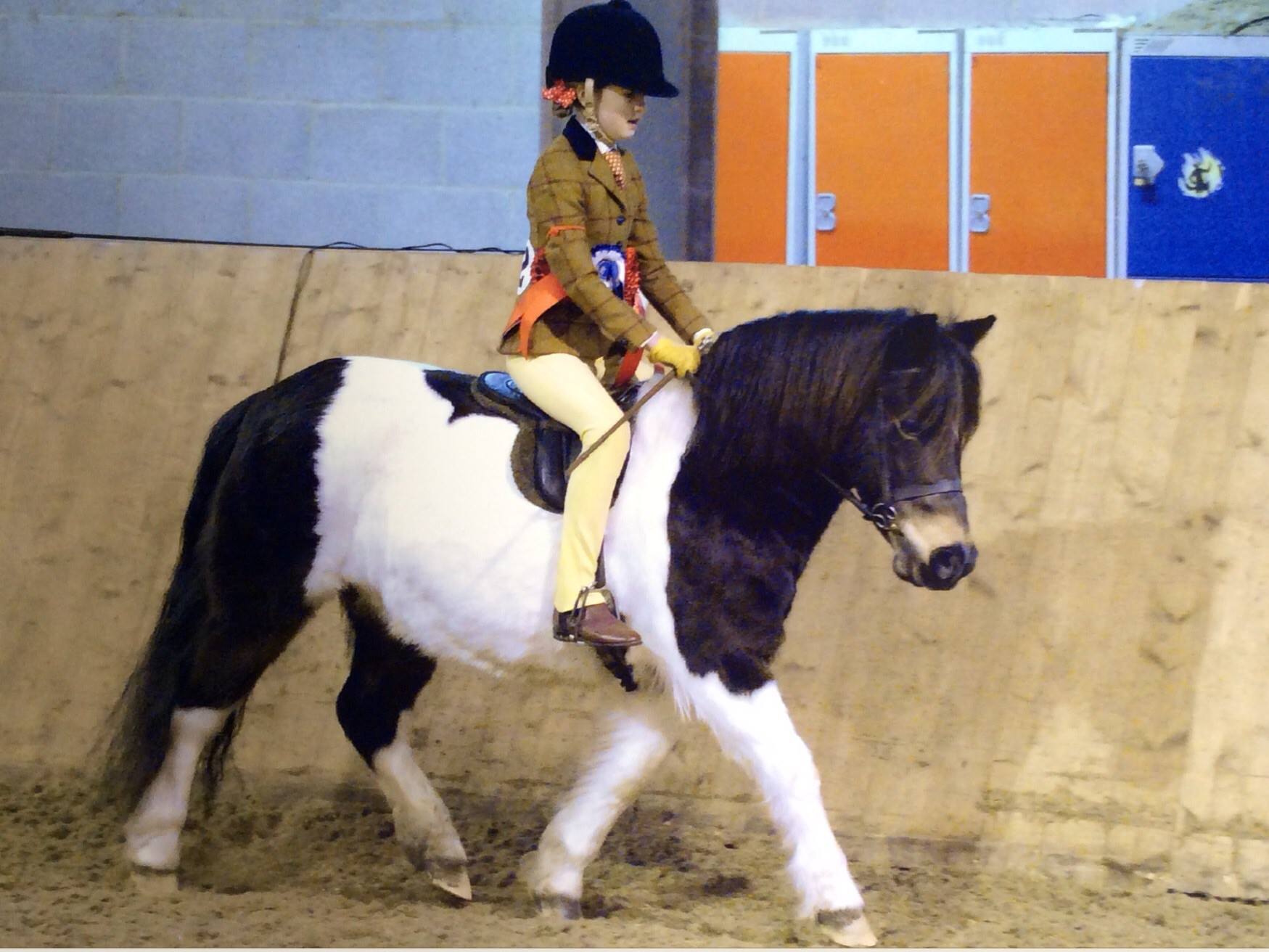 Coppice Brigitta and Sydney Head
