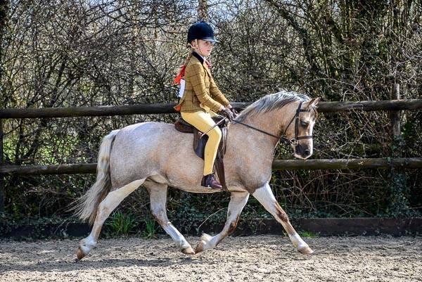 Eleanor Hope and Wellesbourne Prince Charming