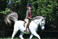 Vennebos Pearly King and Taylor Adams